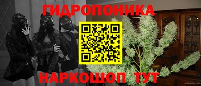 дурь Пугачёв