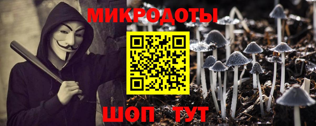 Псилоцибиновые грибы Psilocybe  Вход с VPN  Россия 